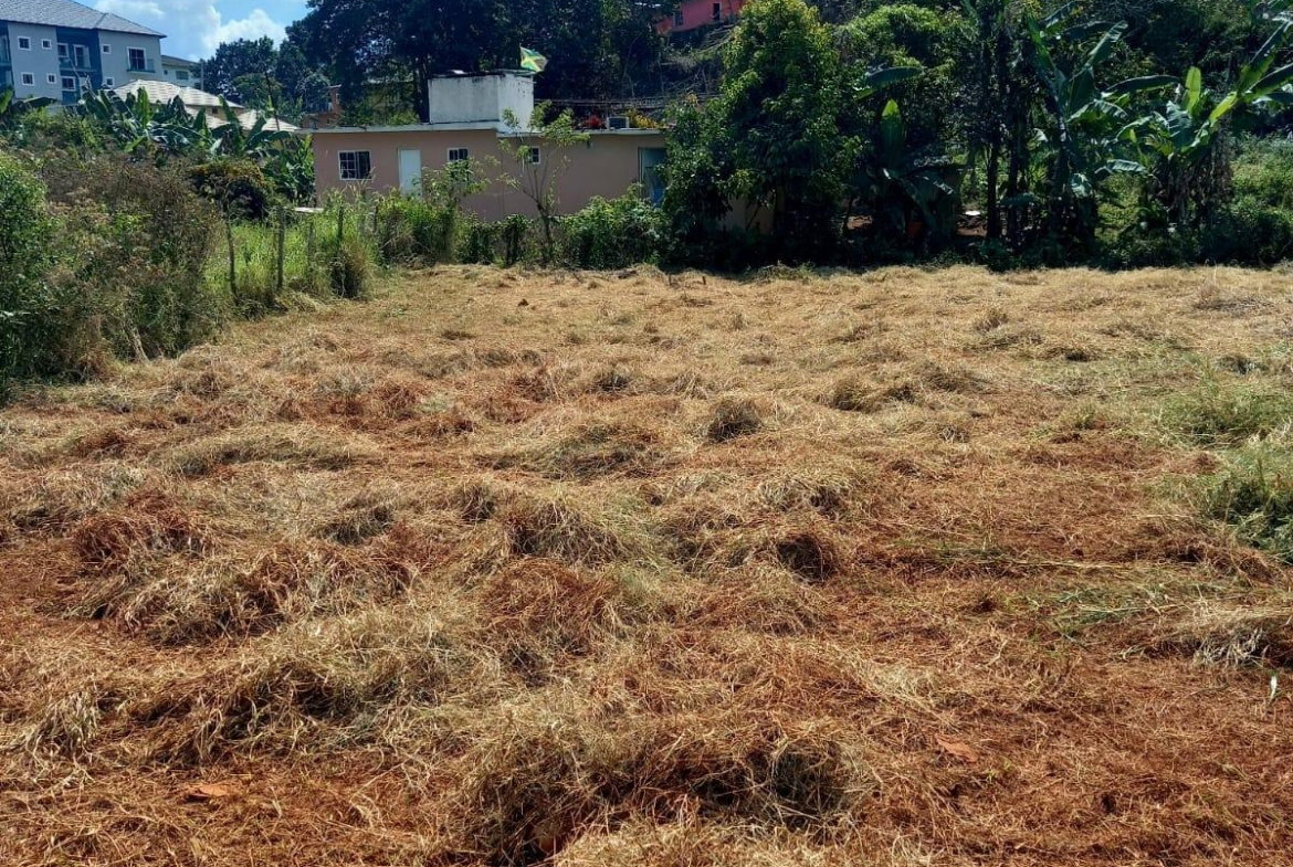 Fifth image of Knowles Road, Mandeville, in Mandeville, Manchester, Jamaica - property is For Sale