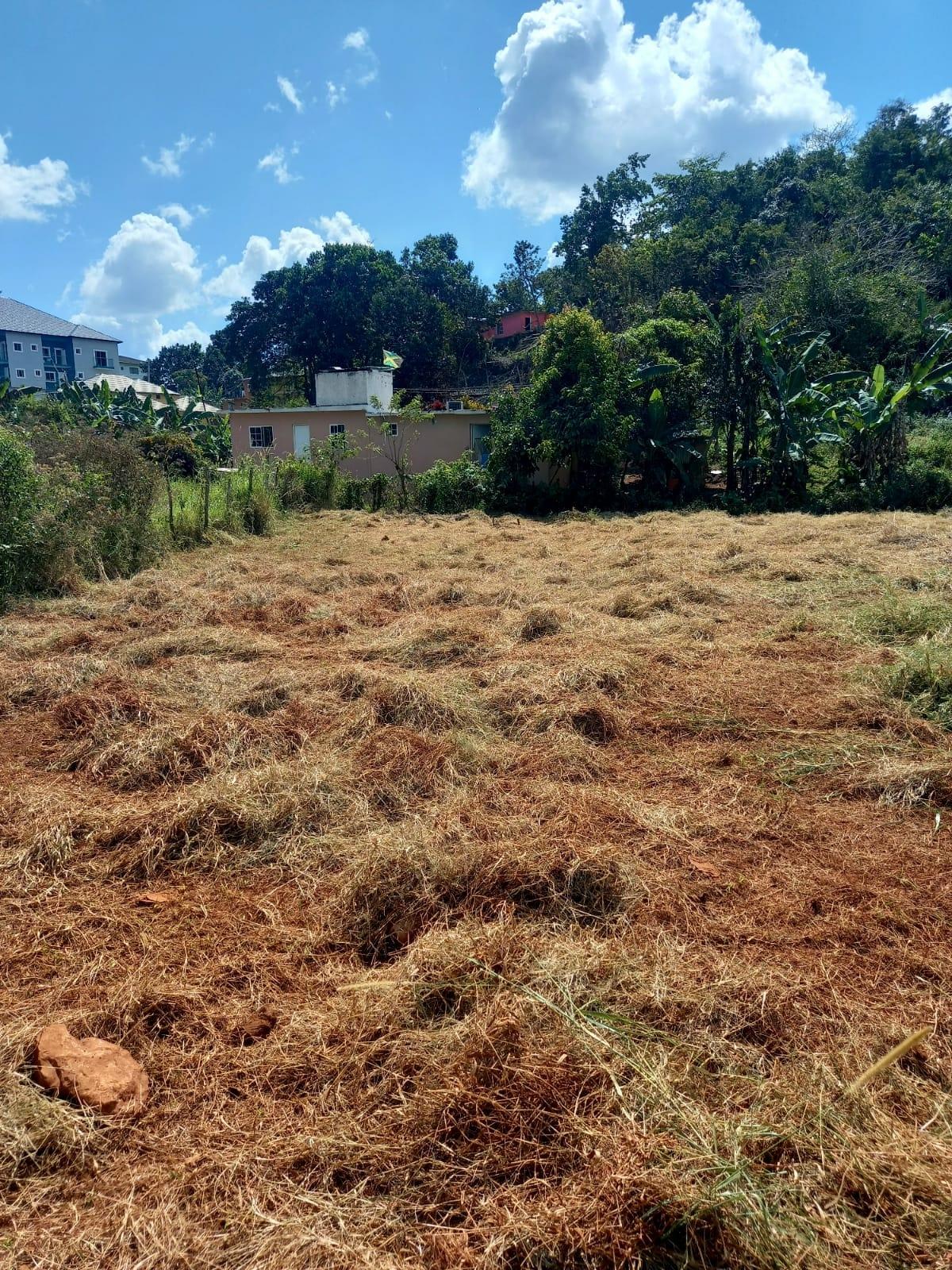 Prime-12519-sq-ft-Residential-Lot-for-Sale-in-Mandeville-Manchester Fifth image of Knowles Road, Mandeville, in Mandeville, Manchester, Jamaica - property is For Sale