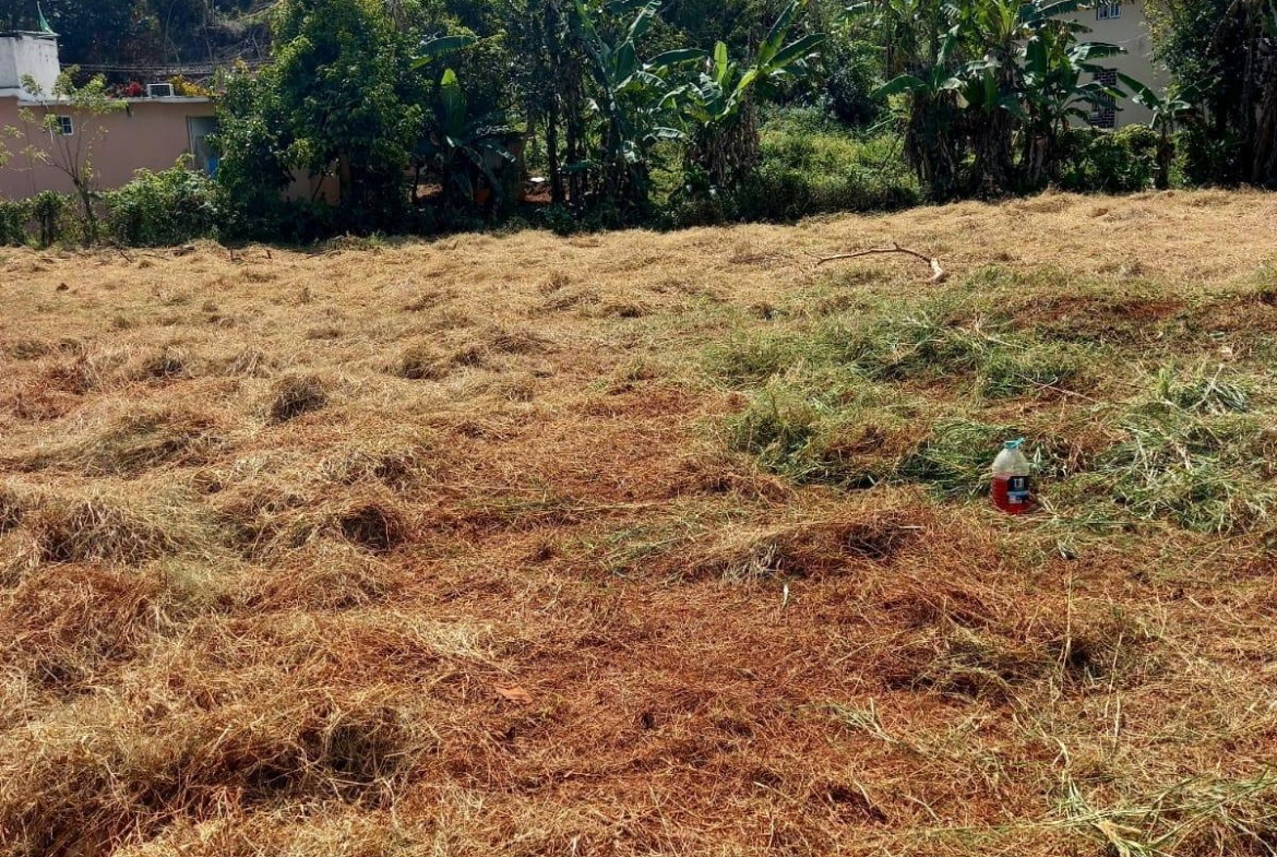 Sixth image of Knowles Road, Mandeville, in Mandeville, Manchester, Jamaica - property is For Sale