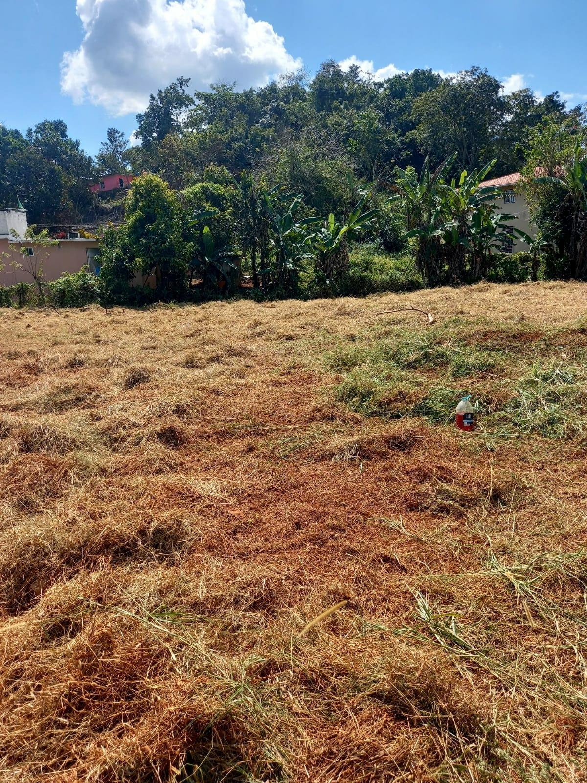 Prime-12519-sq-ft-Residential-Lot-for-Sale-in-Mandeville-Manchester Sixth image of Knowles Road, Mandeville, in Mandeville, Manchester, Jamaica - property is For Sale