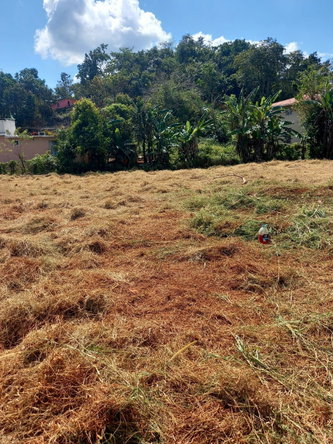 Sixth image of Knowles Road, Mandeville, in Mandeville, Manchester, Jamaica - property is For Sale