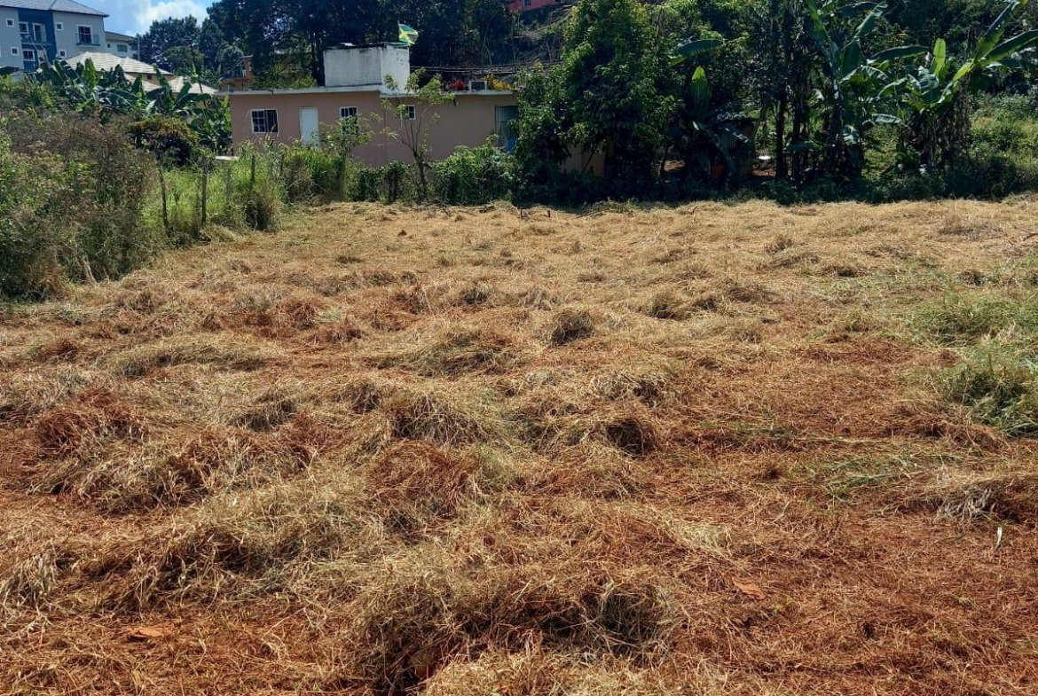 Seventh image of Knowles Road, Mandeville, in Mandeville, Manchester, Jamaica - property is For Sale