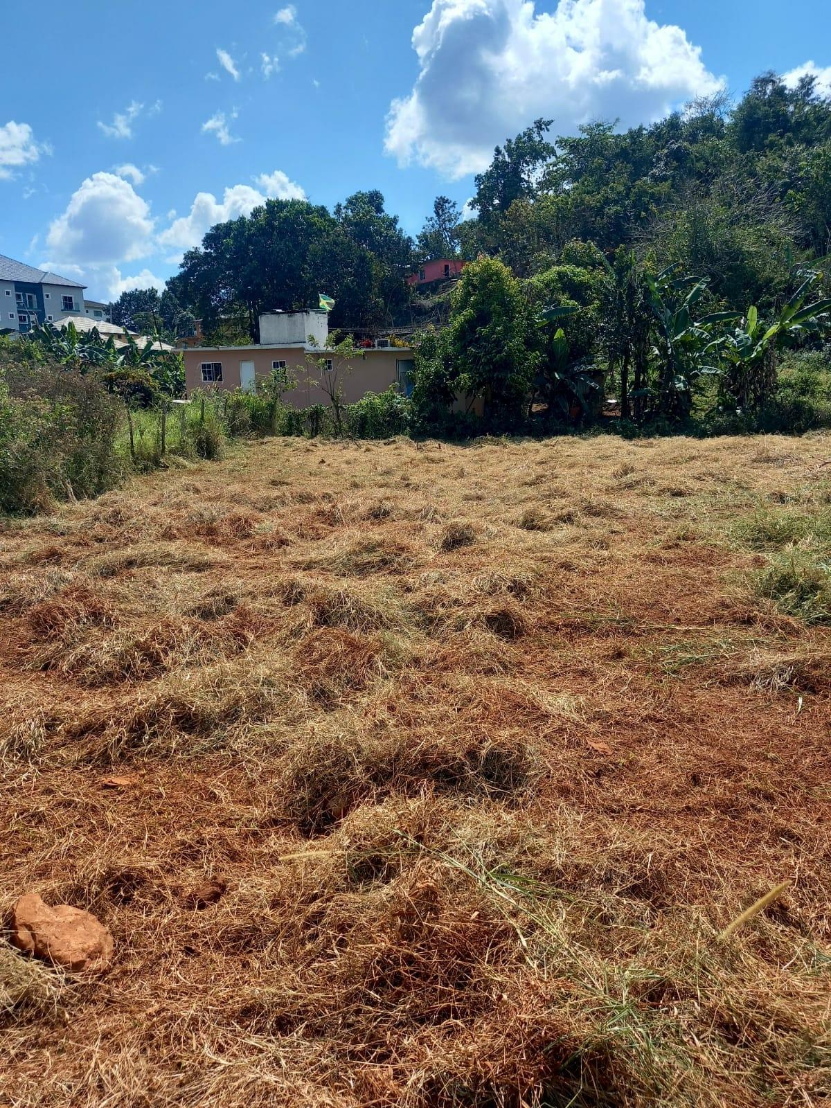 Prime-12519-sq-ft-Residential-Lot-for-Sale-in-Mandeville-Manchester Seventh image of Knowles Road, Mandeville, in Mandeville, Manchester, Jamaica - property is For Sale