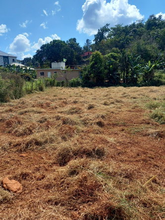 Seventh image of Knowles Road, Mandeville, in Mandeville, Manchester, Jamaica - property is For Sale