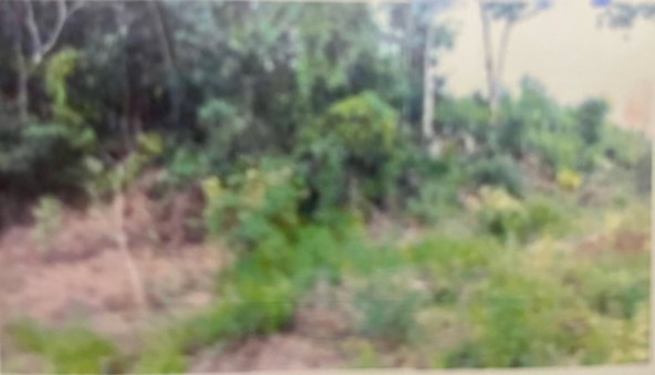 Second image of 113-113 Lewis Avenue, Enfield, ma in Enfield Meadows, Manchester, Jamaica - property is For Sale