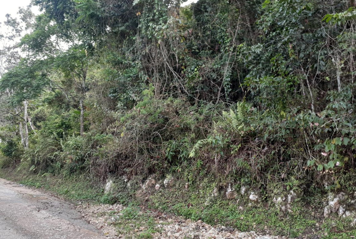 Second image of Sligoville in Sligoville, St. Catherine, Jamaica - property is For Sale