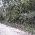 First image of Sligoville in Sligoville, St. Catherine, Jamaica - property is For Sale
