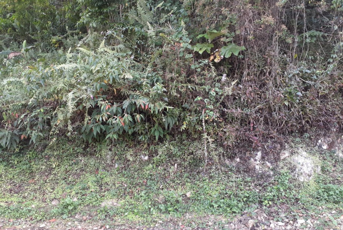 Third image of Sligoville in Sligoville, St. Catherine, Jamaica - property is For Sale