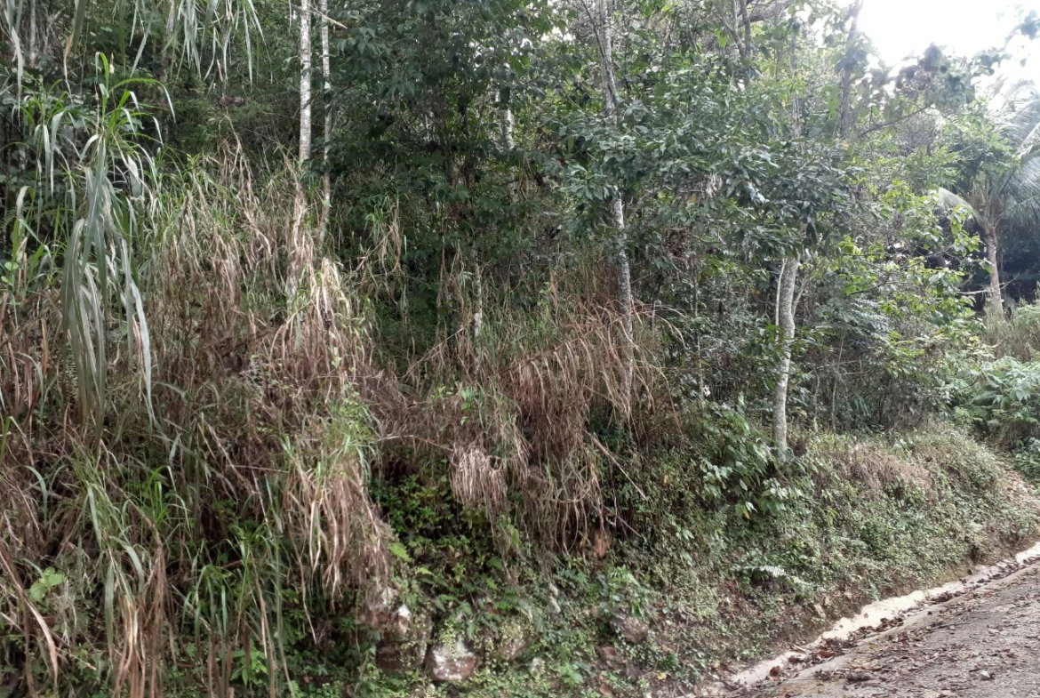 Fourth image of Sligoville in Sligoville, St. Catherine, Jamaica - property is For Sale