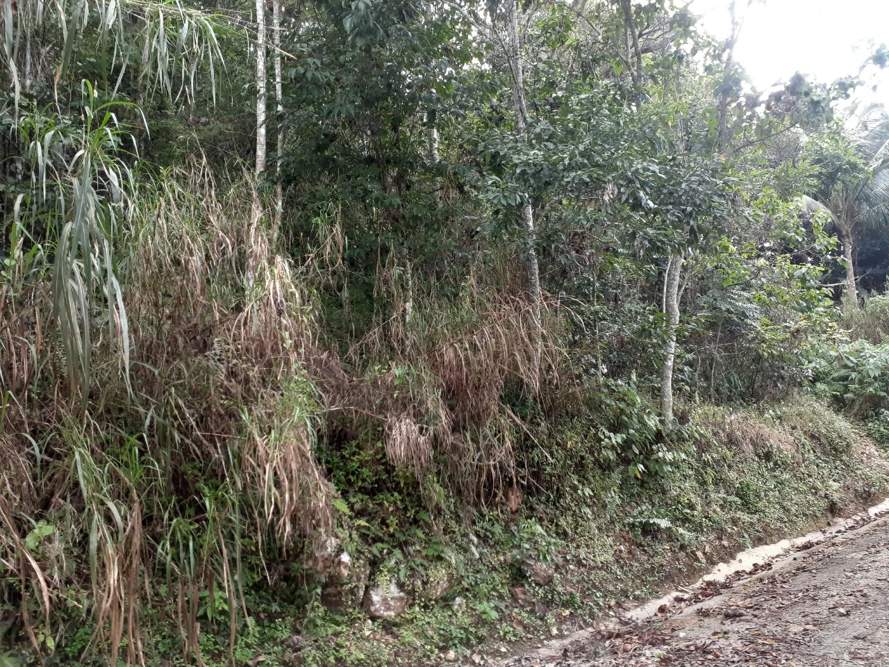 Prime-14-Acre-Residential-Lot-for-Sale-in-Sligoville-St.-Catherine-Jamaica Fourth image of Sligoville in Sligoville, St. Catherine, Jamaica - property is For Sale