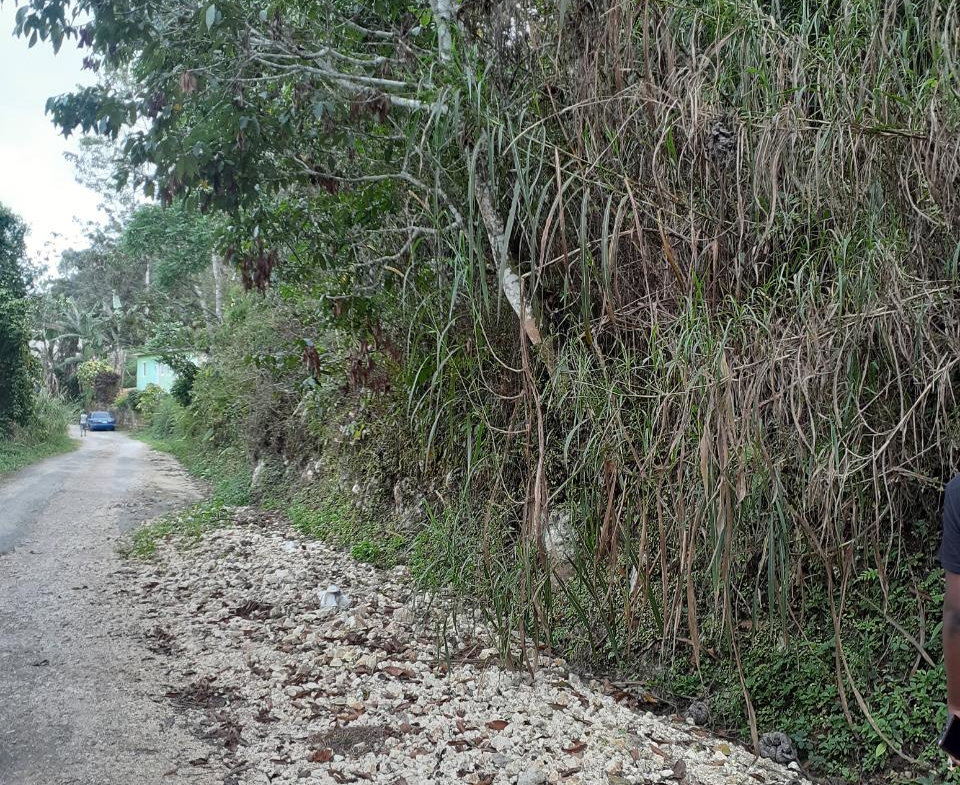 Fifth image of Sligoville in Sligoville, St. Catherine, Jamaica - property is For Sale