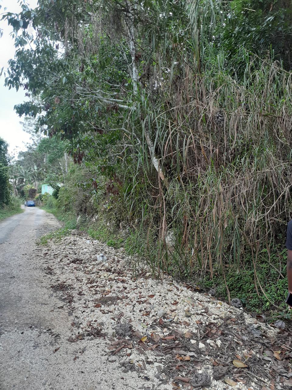 Prime-14-Acre-Residential-Lot-for-Sale-in-Sligoville-St.-Catherine-Jamaica Fifth image of Sligoville in Sligoville, St. Catherine, Jamaica - property is For Sale