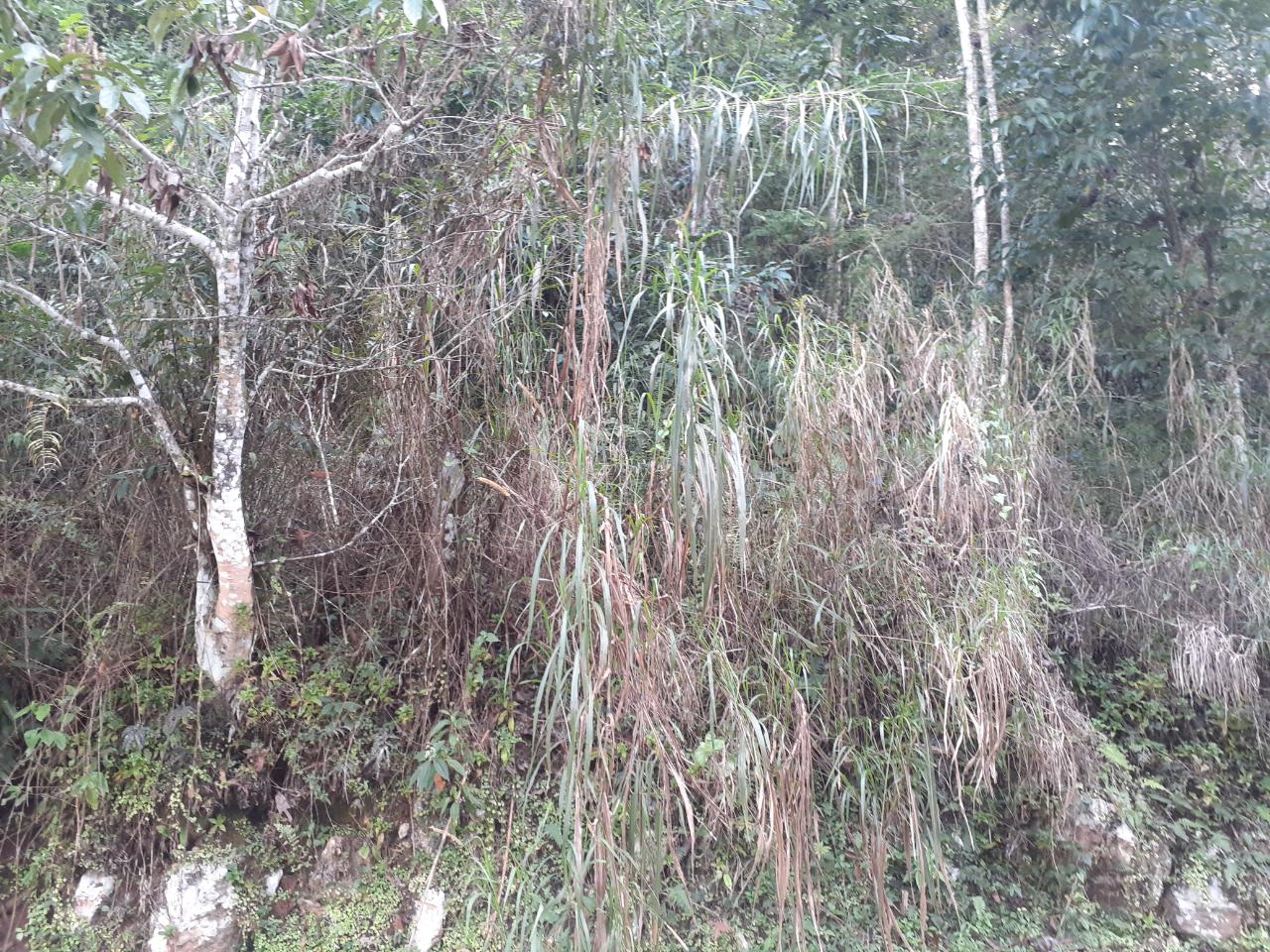 Prime-14-Acre-Residential-Lot-for-Sale-in-Sligoville-St.-Catherine-Jamaica Sixth image of Sligoville in Sligoville, St. Catherine, Jamaica - property is For Sale