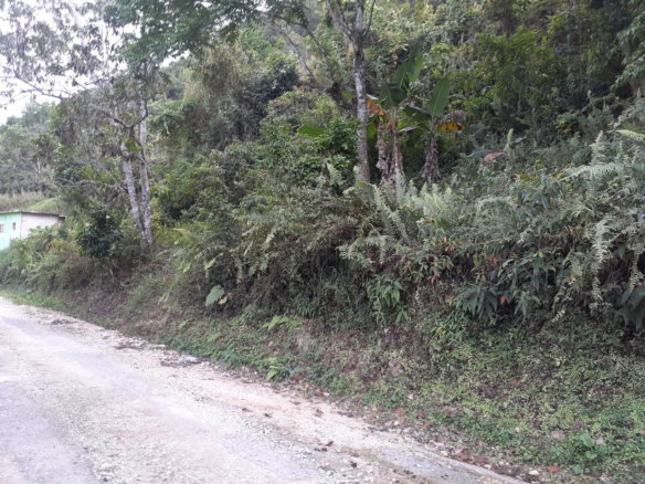 First image of Sligoville in Sligoville, St. Catherine, Jamaica - property is For Sale