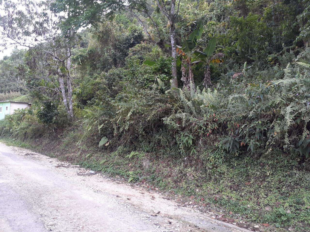 Prime-14-Acre-Residential-Lot-for-Sale-in-Sligoville-St.-Catherine-Jamaica First image of Sligoville in Sligoville, St. Catherine, Jamaica - property is For Sale