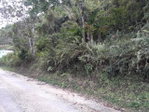 First image of Sligoville in Sligoville, St. Catherine, Jamaica - property is For Sale