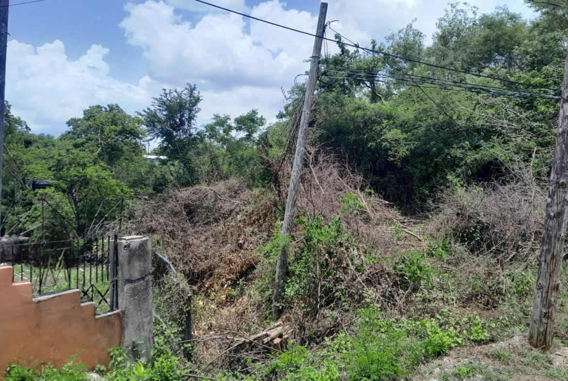 Second image of 79 Toby Abbots, Free Town p in Freetown, Clarendon, Jamaica - property is For Sale