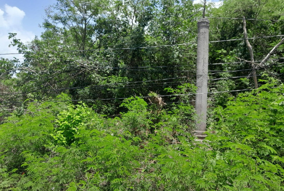 Third image of 79 Toby Abbots, Free Town p in Freetown, Clarendon, Jamaica - property is For Sale