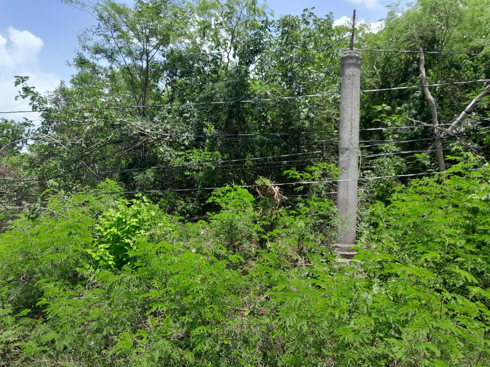 Prime-14-Acre-Residential-Lot-for-Sale-in-Toby-Heights-Clarendon Third image of 79 Toby Abbots, Free Town p in Freetown, Clarendon, Jamaica - property is For Sale