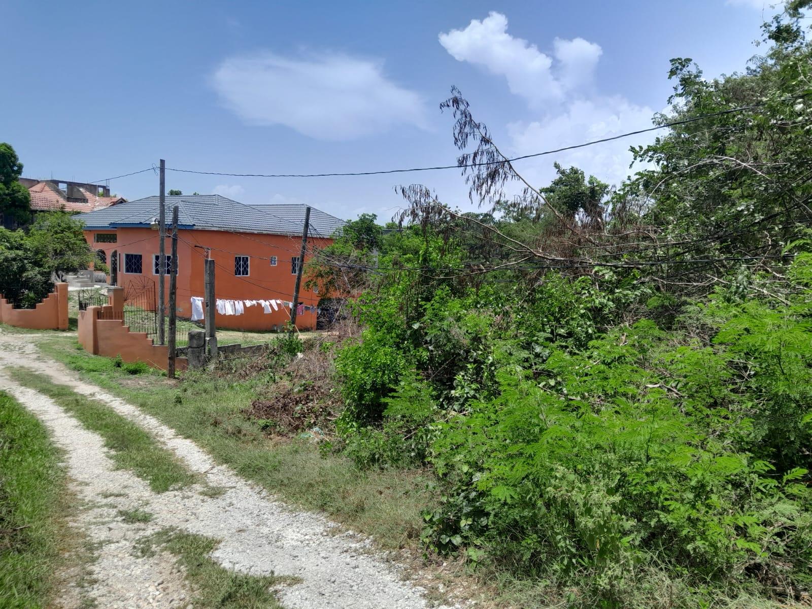 Prime-14-Acre-Residential-Lot-for-Sale-in-Toby-Heights-Clarendon First image of 79 Toby Abbots, Free Town p in Freetown, Clarendon, Jamaica - property is For Sale