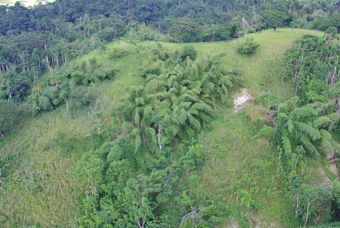 Eleventh image of Winchester Estates in Green Island, Hanover, Jamaica - property is For Sale