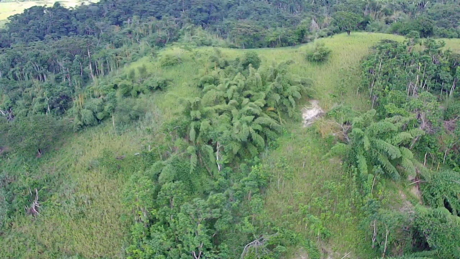 Eleventh image of Winchester Estates in Green Island, Hanover, Jamaica - property is For Sale