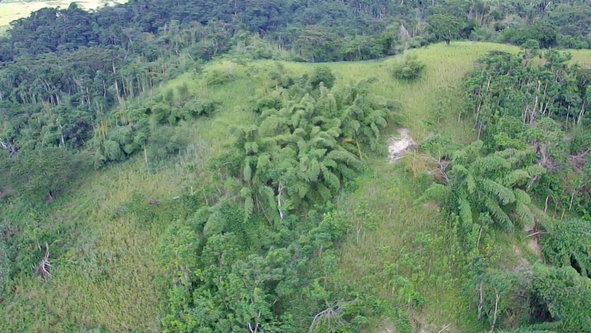 Eleventh image of Winchester Estates in Green Island, Hanover, Jamaica - property is For Sale