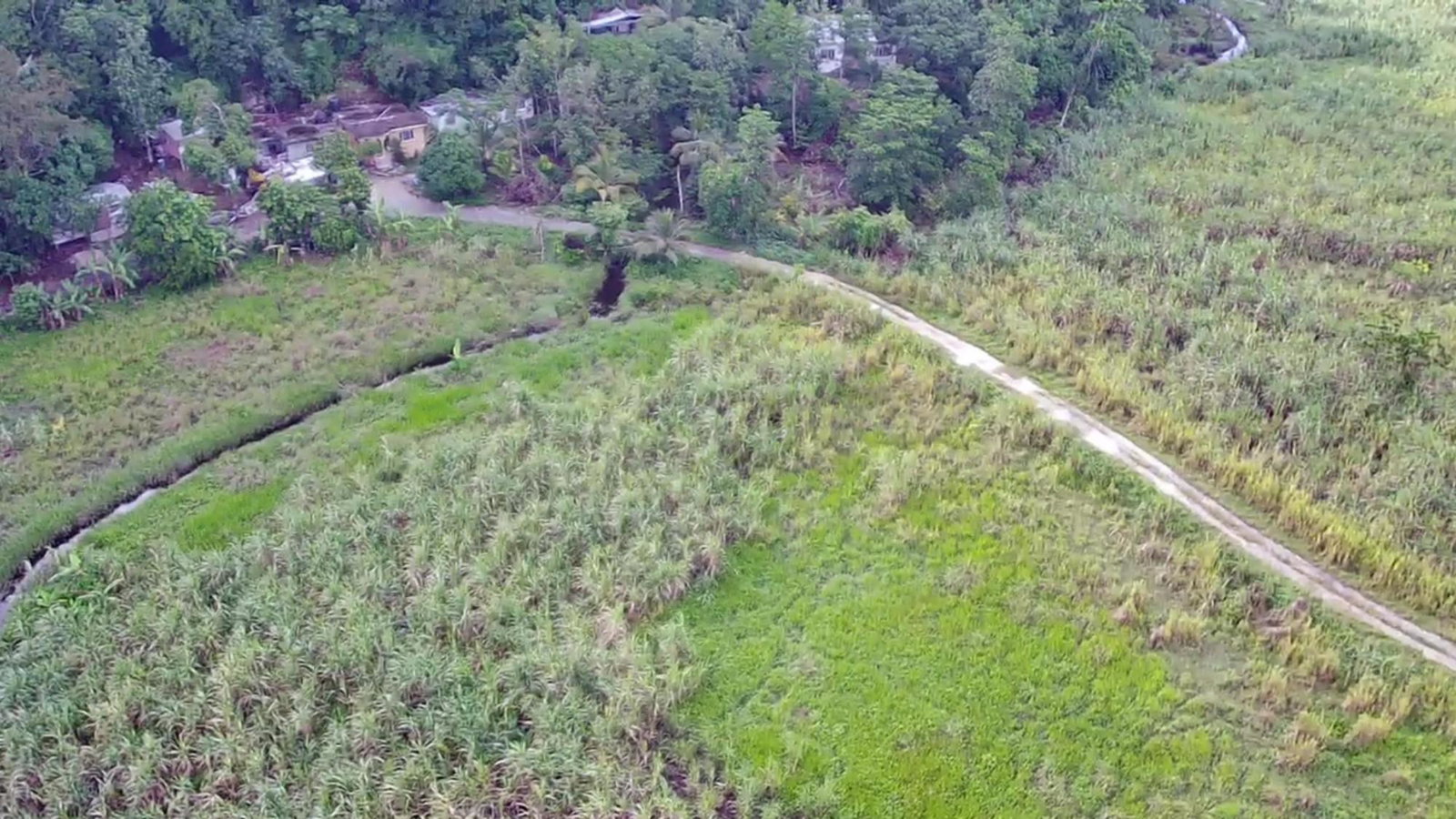 Twelfth image of Winchester Estates in Green Island, Hanover, Jamaica - property is For Sale