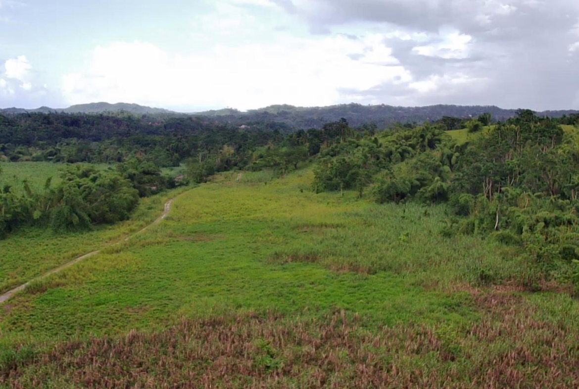 First image of Winchester Estates in Green Island, Hanover, Jamaica - property is For Sale