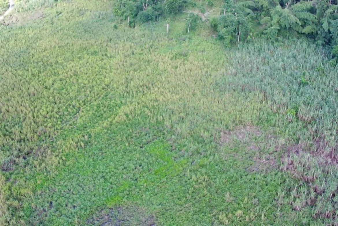 Thirteenth image of Winchester Estates in Green Island, Hanover, Jamaica - property is For Sale