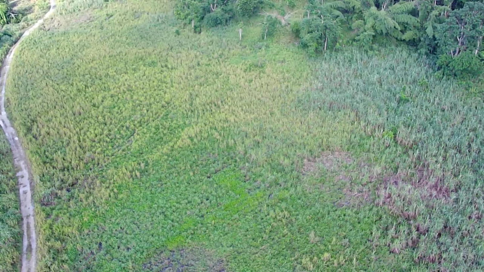 Thirteenth image of Winchester Estates in Green Island, Hanover, Jamaica - property is For Sale