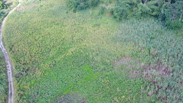 Thirteenth image of Winchester Estates in Green Island, Hanover, Jamaica - property is For Sale
