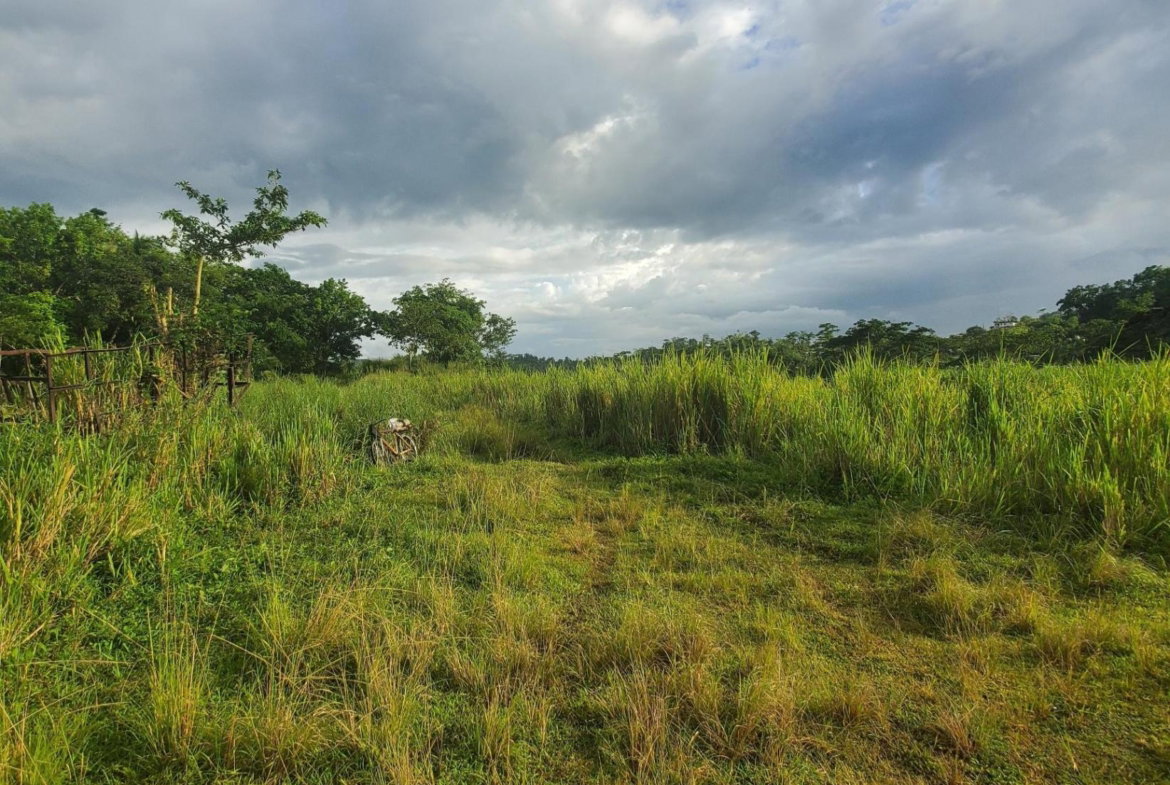 Fourteenth image of Winchester Estates in Green Island, Hanover, Jamaica - property is For Sale