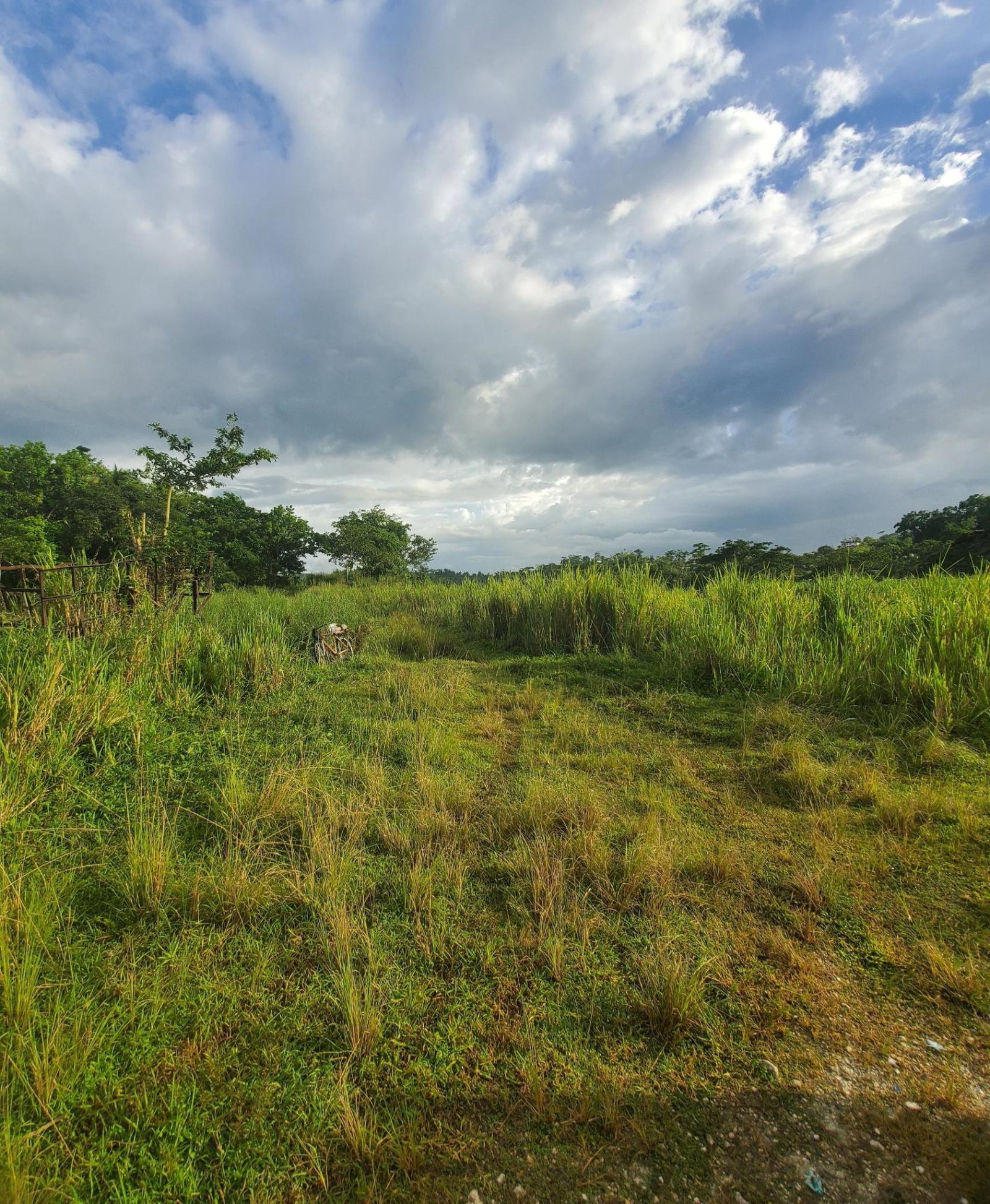 Fourteenth image of Winchester Estates in Green Island, Hanover, Jamaica - property is For Sale