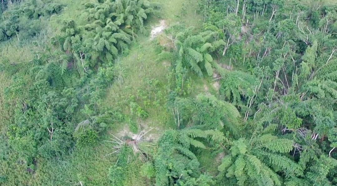 Seventeenth image of Winchester Estates in Green Island, Hanover, Jamaica - property is For Sale