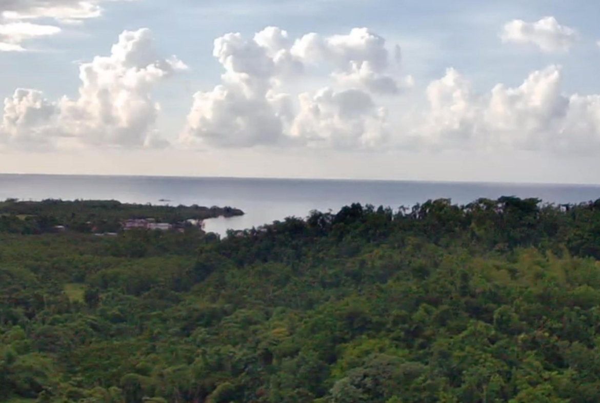 Fourth image of Winchester Estates in Green Island, Hanover, Jamaica - property is For Sale