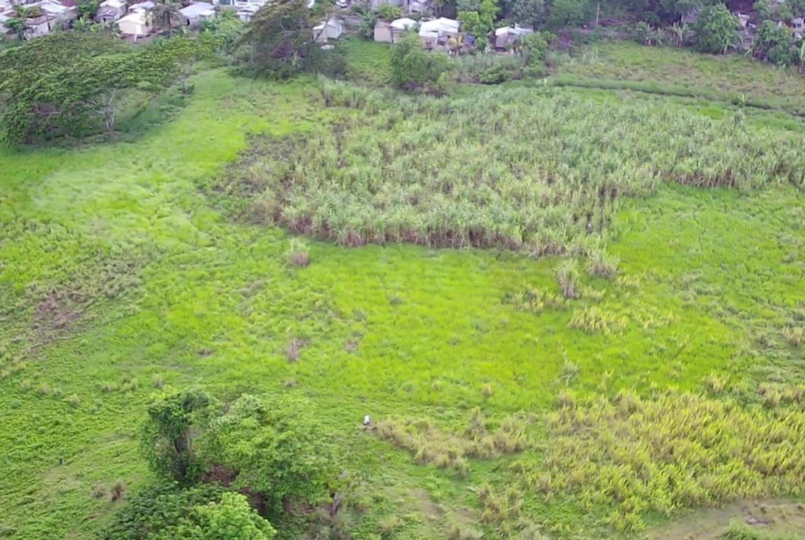 Fifth image of Winchester Estates in Green Island, Hanover, Jamaica - property is For Sale