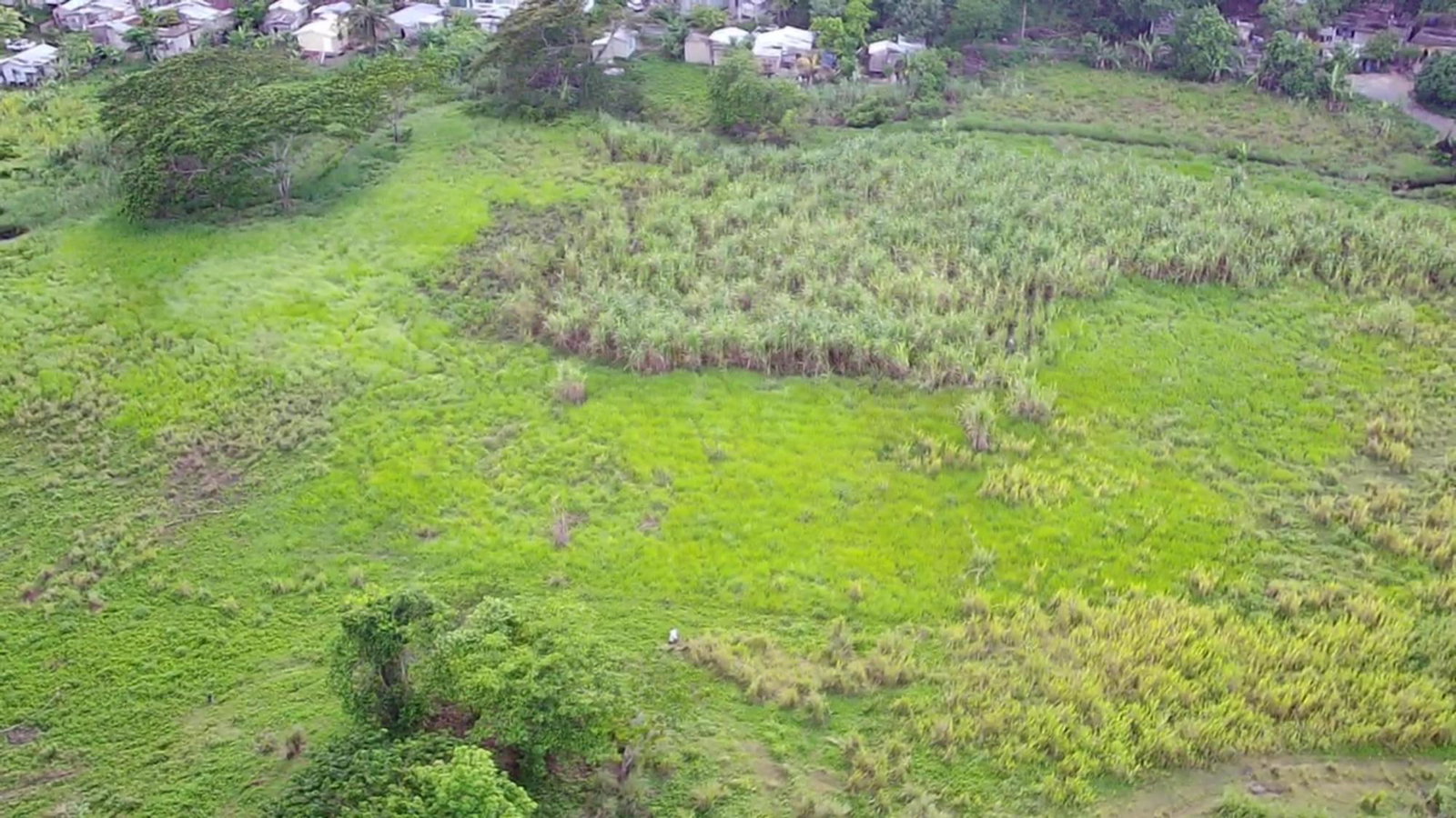 Fifth image of Winchester Estates in Green Island, Hanover, Jamaica - property is For Sale