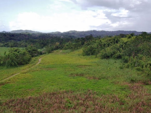 First image of Winchester Estates in Green Island, Hanover, Jamaica - property is For Sale
