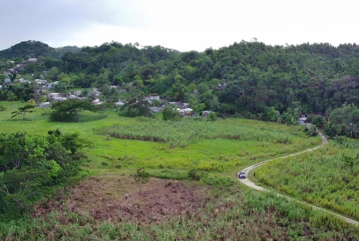 Eighth image of Winchester Estates in Green Island, Hanover, Jamaica - property is For Sale