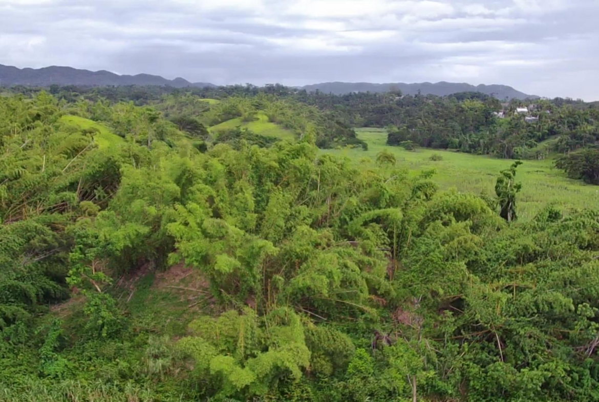 Ninth image of Winchester Estates in Green Island, Hanover, Jamaica - property is For Sale