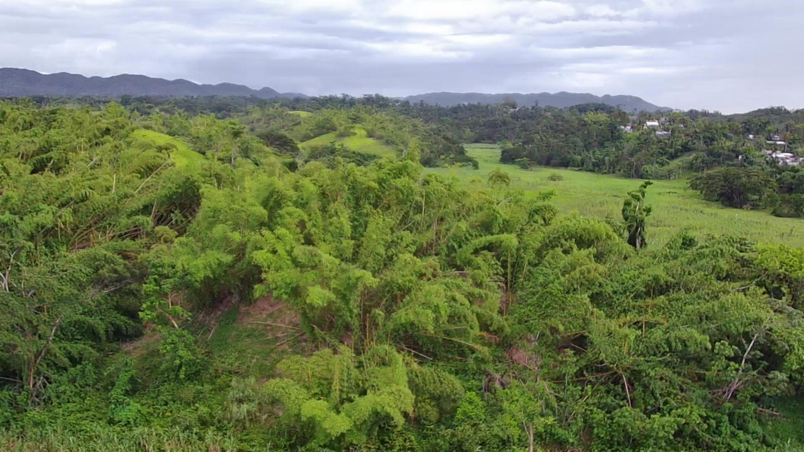 Ninth image of Winchester Estates in Green Island, Hanover, Jamaica - property is For Sale