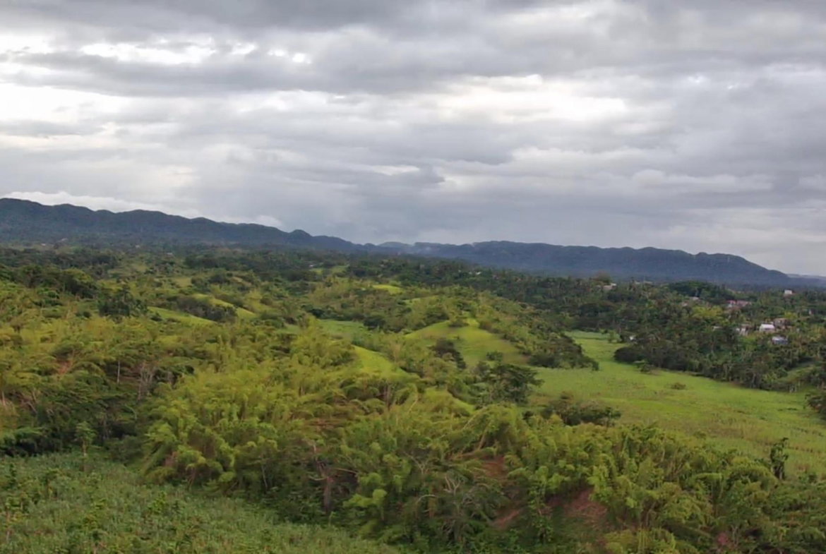 Tenth image of Winchester Estates in Green Island, Hanover, Jamaica - property is For Sale