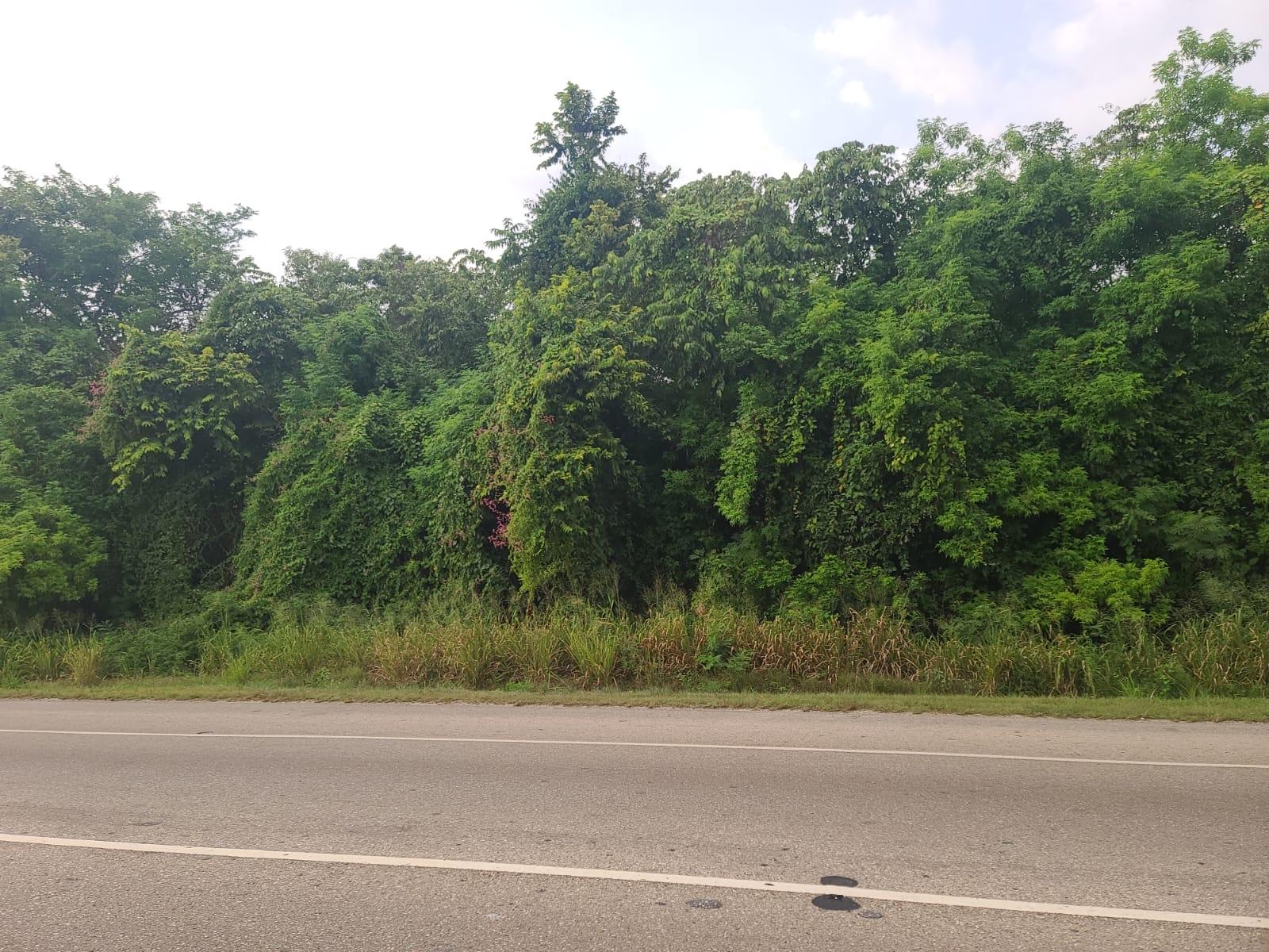 Third image of Falmouth in Falmouth, Trelawny, Jamaica - property is For Sale