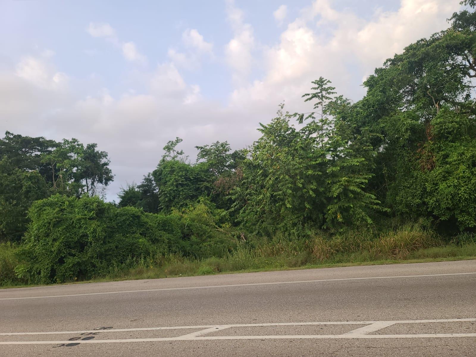 Eighth image of Falmouth in Falmouth, Trelawny, Jamaica - property is For Sale