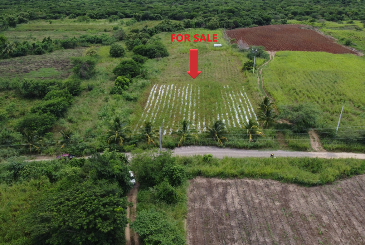 First image of 138 Colbeck Plantation in Old Harbour, St. Catherine, Jamaica - property is For Sale