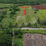 First image of 138 Colbeck Plantation in Old Harbour, St. Catherine, Jamaica - property is For Sale