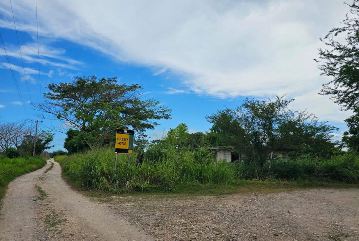 Fifth image of 138 Colbeck Plantation in Old Harbour, St. Catherine, Jamaica - property is For Sale