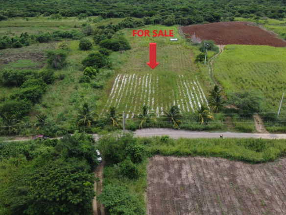 First image of 138 Colbeck Plantation in Old Harbour, St. Catherine, Jamaica - property is For Sale