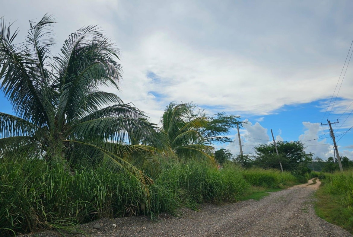Seventh image of 138 Colbeck Plantation in Old Harbour, St. Catherine, Jamaica - property is For Sale